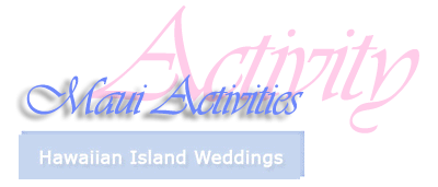 Activity Form