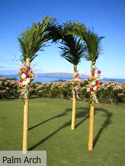 Palm Archway