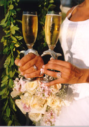 Dolphin Heart Toasting Glasses