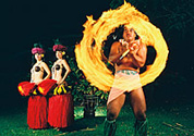 Hawaii Fun Planner