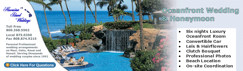 See Our Deluxe Ocean Front Kaanapali Wedding & Honeymoon