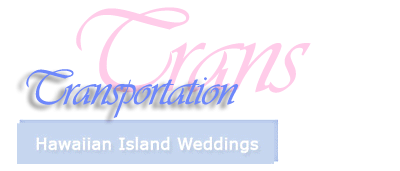 Limousine Services