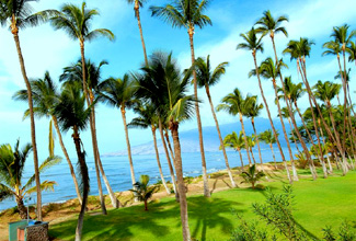Maui Beach Front Villas
