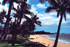 Maui Wedding and Honeymoon
