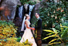 Makena Waterfall Wedding