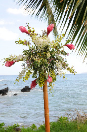 Whispy Topiaries