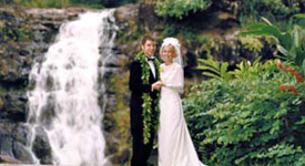 Waimea Falls Wedding 