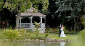 Plumeria Garden Wedding