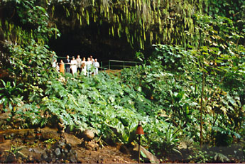 Fern Grotto