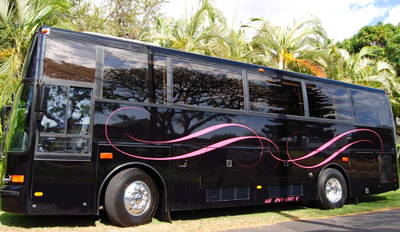 Executive Limousine Coach